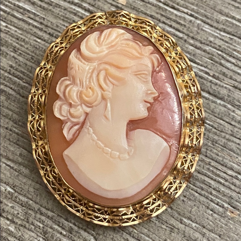 Vintage Carved Cream Shell & Carnelian 12K 1/20 Gold Cameo Broach